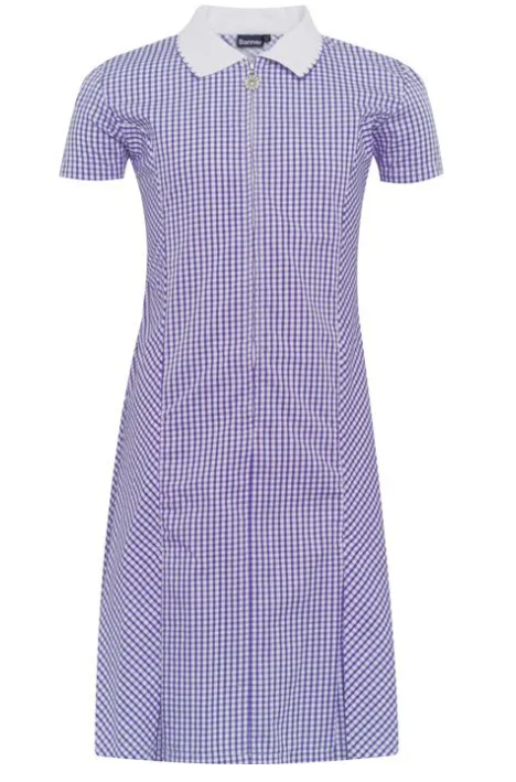 PURPLE And white checked summer dress