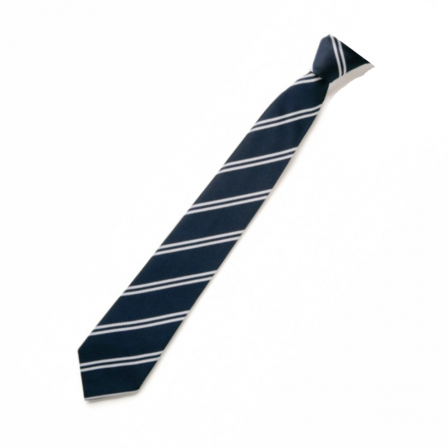 Temple Moor Clip on School Tie 16″