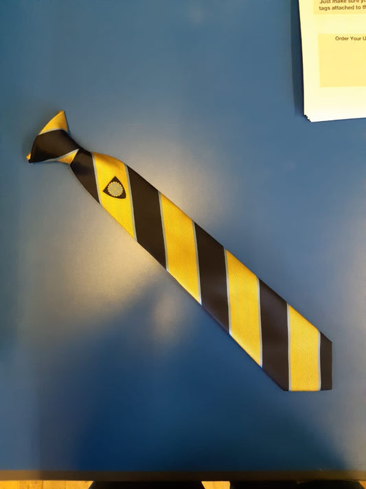 Guiseley High School Year 7-8 Gold & Blue Clip On Tie