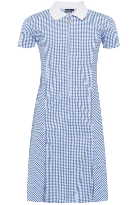 Blue And white checked summer dress
