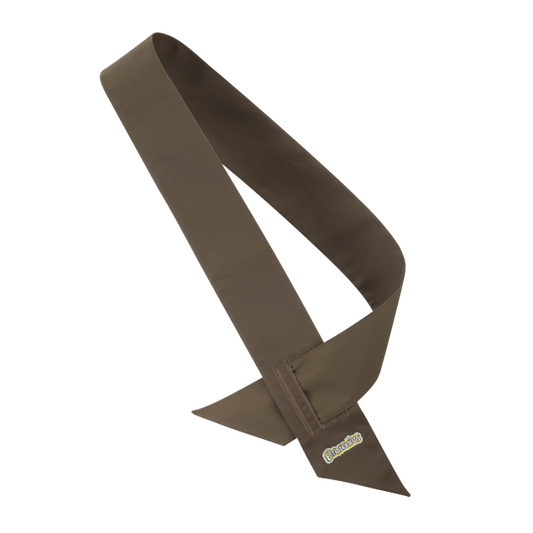 Badged Brownie Sash