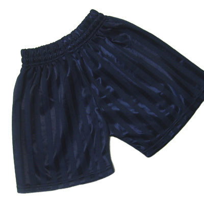 Navy Shadow Stripe Shorts